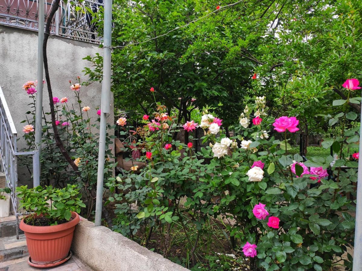 Guesthouse Ttt Tbilisi Ngoại thất bức ảnh