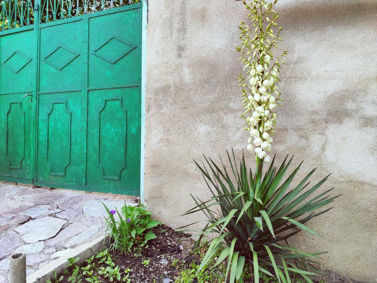 Guesthouse Ttt Tbilisi Ngoại thất bức ảnh